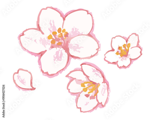 桜のイラスト。ベクターイラスト素材。