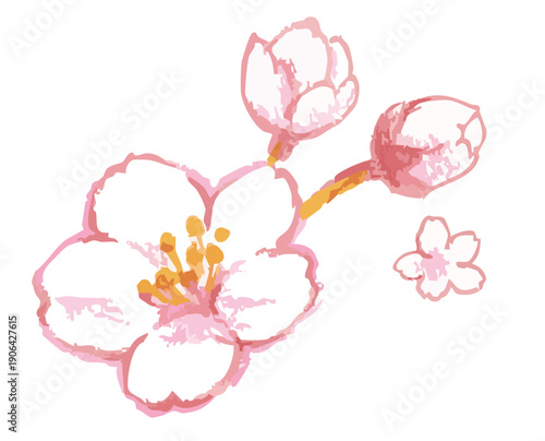 桜のイラスト。ベクターイラスト素材。