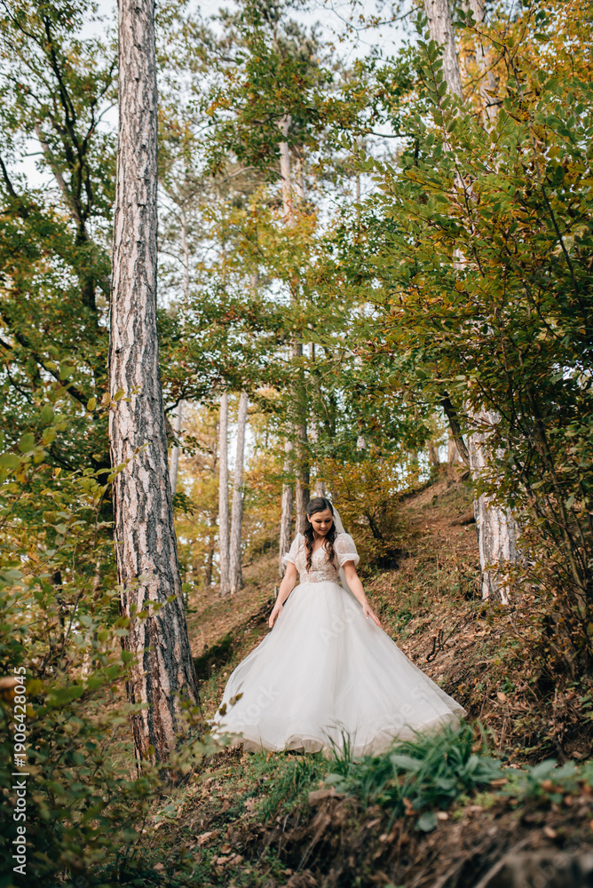 Fototapeta premium Portrait of beautiful bride and an elegant groom in nature, surrounded by a forest.