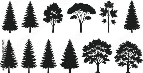 Tree silhouette collection, diverse forest shapes, coniferous and deciduous designs, botanical foliage patterns for nature, landscape, educational, decorative art elements, flat vector illustration