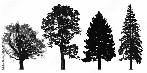 Silhouettes of various trees against a plain white background nature s artistry