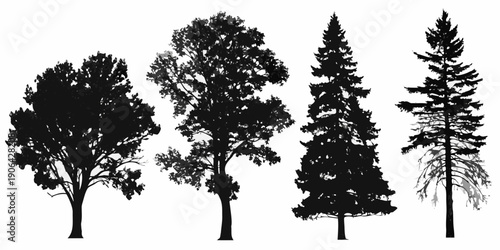 Silhouettes of various trees including deciduous and coniferous species