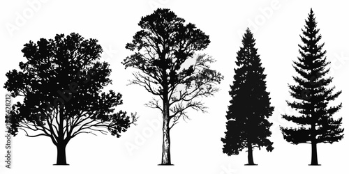 Silhouettes of diverse trees oak deciduous pine and evergreen varieties