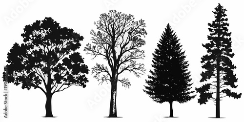 A collection of four distinct tree silhouettes against a white background