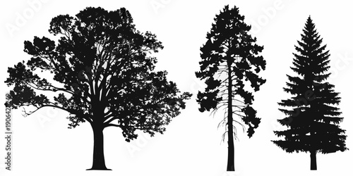 Silhouettes of various evergreen and deciduous trees against a white background