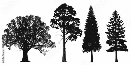 Silhouettes of various tree types oak pine and fir displayed in black and white