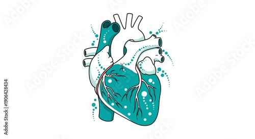 Anatomical illustration of the human heart with visible Whisk texture overlay, showcasing cardiac structure and blood vessels in a detailed vector graphics representation