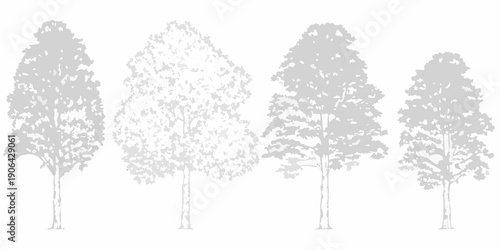 Silhouetted trees in a row showcasing varied canopy shapes and sizes