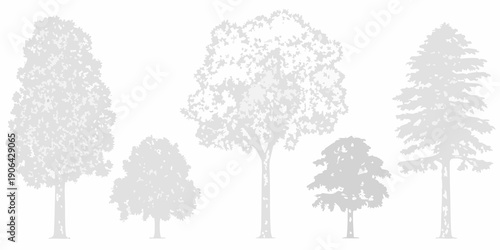 Silhouettes of various trees against a white background nature s simple forms