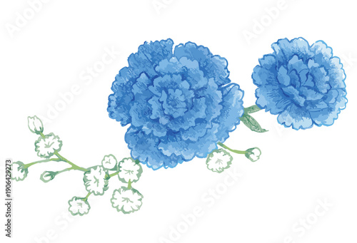 青いカーネーションのイラスト。ベクターイラスト素材。