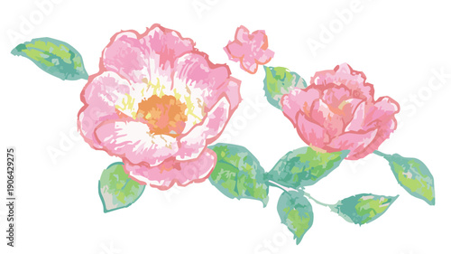 ピンクのバラのイラスト。ベクターイラスト素材。