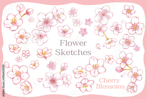 桜のイラスト素材セット。ベクターイラスト。