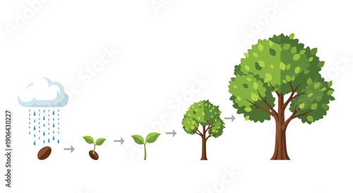 A visual depiction of a tree s life cycle from seed to mature plant displayed as a silhouette on transparent background