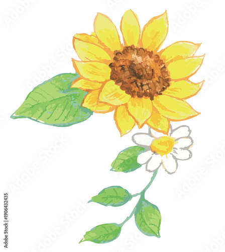 Sunflower Illustration. Vector illustration.