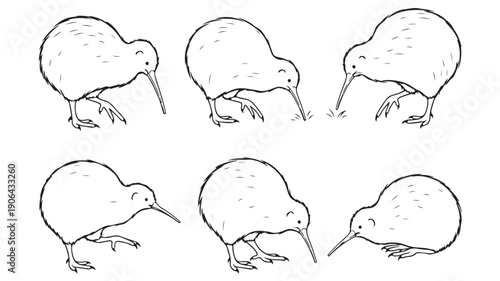 Kiwi Bird Illustrations in Various Poses with Simple Line Art Style in Black and White for Educational Materials