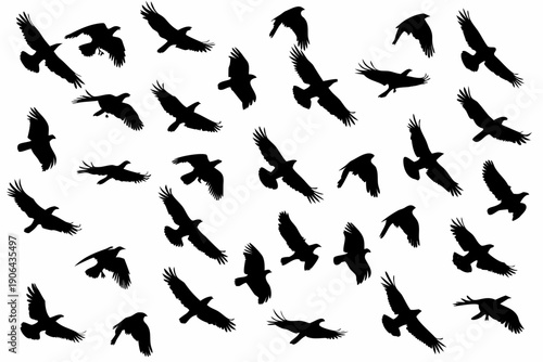 A flock of black birds silhouetted against a white background