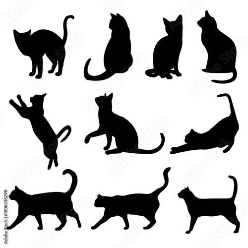 set of cats silhouettes