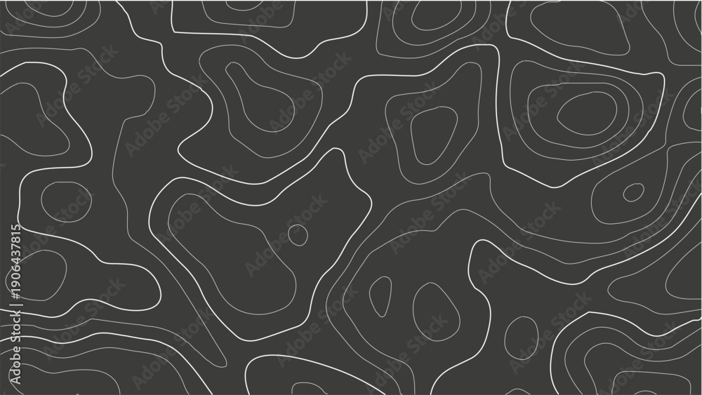 Fototapeta premium topography line map. Vector geographic contour map background.. Abstract topographic contours map background. Vintage outdoors style.Geographic abstract grid. EPS 10 vector illustration.