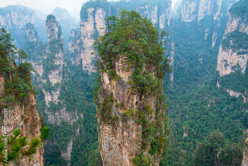 Iconic mountain sandstone pillar with pine trees rising above misty forested valley in Yuanjiajie scenic area of Zhangjiajie National Forest Park landscape, Hunan, China. Travel and tourism landmark 