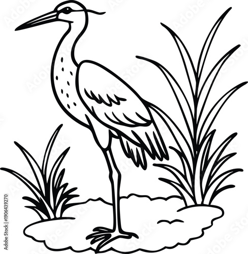 A detailed line drawing depicts a wading bird amongst tall grasses high quality