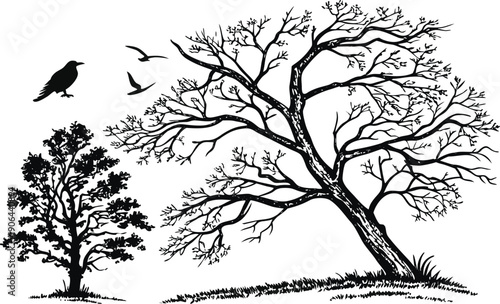 Would you like me to generate a similar descriptive string for a different type of nature scene?