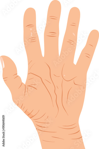 A realistic illustration depicts an open human hand with visible skin details