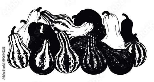 A collection of assorted gourds and pumpkins in a stark black and white graphic style creating a seasonal autumn decoration suitable for harvest festival promotions and thanksgiving events.