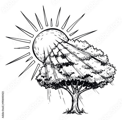 Hand drawn style depicting a thriving tree under a shining sun with rays, useful for sustainability campaigns, garden decor, or nature themed projects.