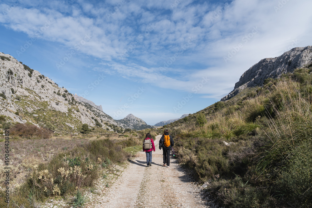 Obraz premium Two women hiking through scenic mountain valley trail