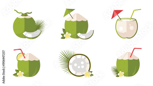 A set of six flat design vector illustrations of green coconuts, featuring whole, sliced, and coconut water drinks with straws and tropical flowers.
