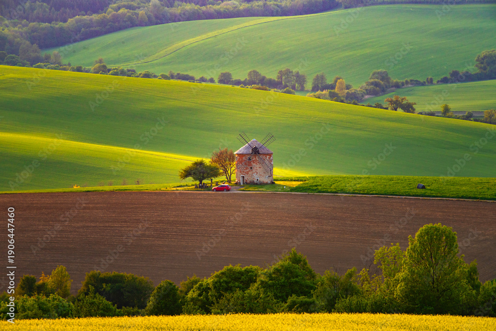 Fototapeta premium Gorgeous rural landscape with green sunny spring hills. South Moravia region, Czech Republic