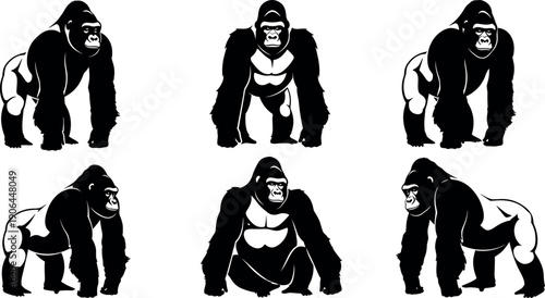Set of strong silverback gorilla silhouettes vector illustration featuring various poses like walking and sitting for wildlife zoo design elements.