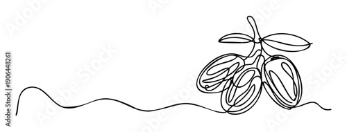 Continuous line drawing depicting ripe coffee beans on a branch with leaves, perfect for coffee shop branding, beverage packaging, or minimalist decor in a modern cafe