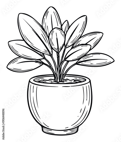 Stylized line drawing of a lush houseplant in a simple round pot, perfect for adding a touch of botanical elegance to home decor themes, digital graphics, and print media projects.