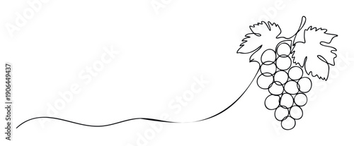 Harmonious continuous line drawing depicting a grape bunch with vibrant leaves connected by a smooth organic stroke, ideal for beverage labels or culinary event invitations.