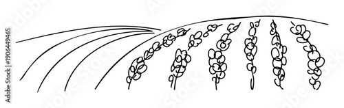 Stylized black and white line drawing depicting an agricultural field with rows of crops and furrows, perfect for farming related projects, environmental themes, and educational graphics.