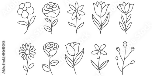 A collection of hand drawn minimalist flower sketches and floral doodles on white background