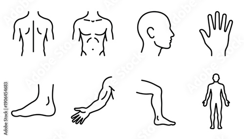 Set of human body part line icons showing the head, torso, back, arm, leg, hand, and foot in a minimalist, schematic style for anatomy or medical illustrations