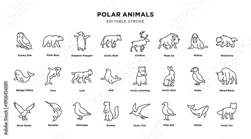 Polar animals outline icon set with labels. Editable Stroke