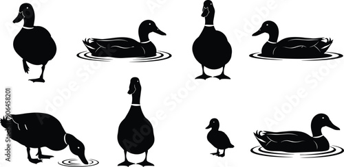 Duck silhouette collection vector illustration, farm and wild waterfowl birds swimming and standing isolated on white background