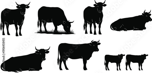 Cow and cattle silhouette collection vector illustration, farm livestock animals standing grazing and resting isolated on white background
