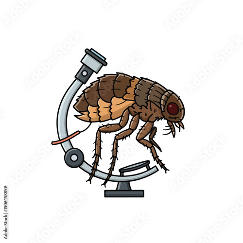 A cartoon flea on a microscope