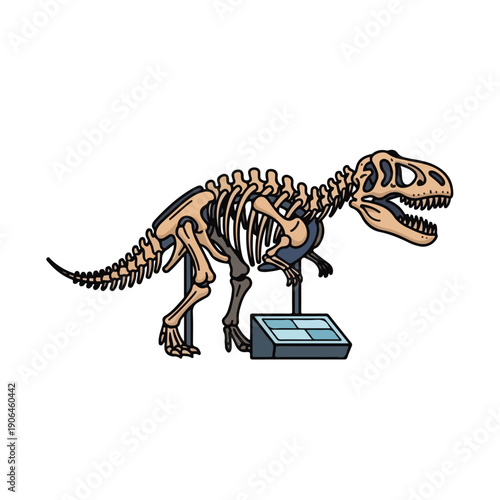 A dinosaur skeleton on display