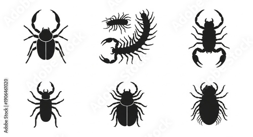 Collection of Insect Silhouettes Vector Art.