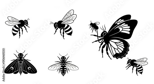 Collection of Insects Including Bees and Butterflies.