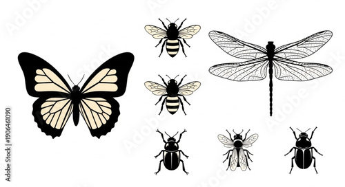 Collection of insects including butterfly bee dragonfly and beetle.