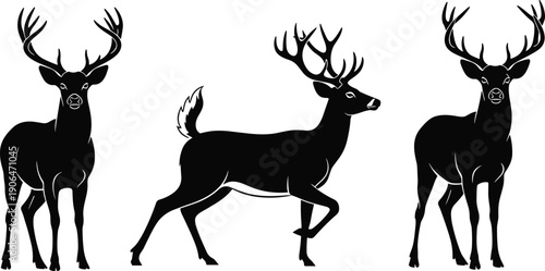 Set of majestic deer and stag silhouettes with large antlers, wild buck figures for forest wildlife nature design, hunting season and animal conservation symbols,
