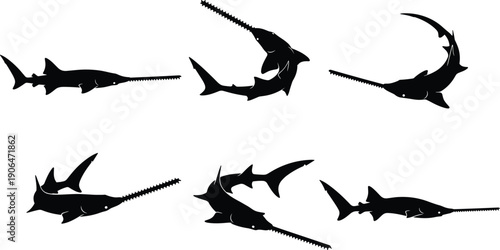 Sawfish silhouette illustration set, marine shark fish with long rostrum, black and white vector collection for ocean wildlife concepts