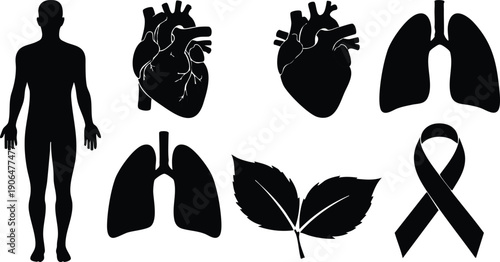 Black silhouette vector icons of human body lung heart anatomy leaf and awareness ribbon set flat design medical and environmental symbols collection