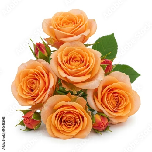 Orange Rose Bouquet: An exquisite arrangement of vibrant orange roses in full bloom, showcasing their delicate petals and intricate details. A symbol of beauty and joy.